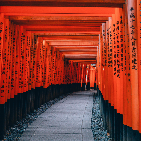 Fushimi Inari